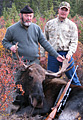 Fritz Burkhalter, moose, 2008