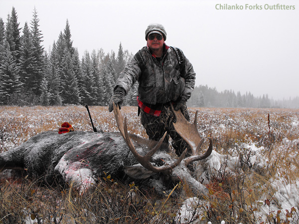 Pat Vaughn, moose, 2010
