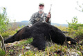 Jim Wolfer, black bear, 2012