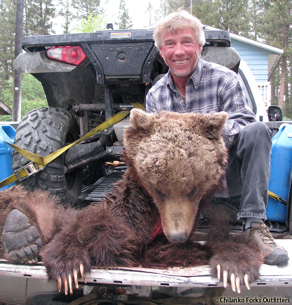 Allan's grizzly, 2012
