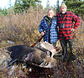 Walter Gisler, moose, 2012