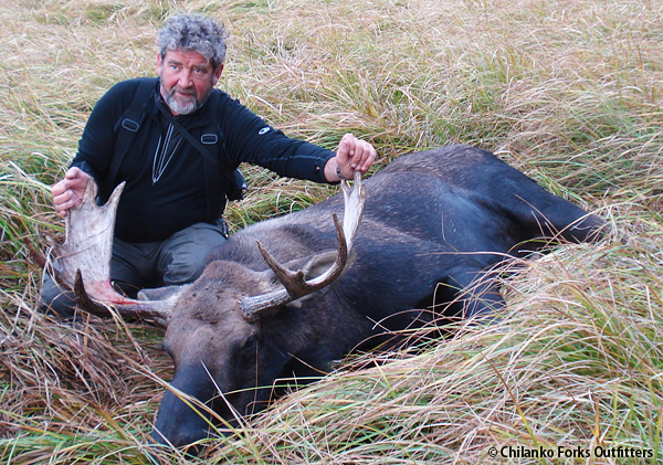 Walter Beeler, moose, 2012