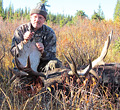 Steve Laabs, moose, 2012