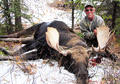 Joe Marzetta, moose, 2012